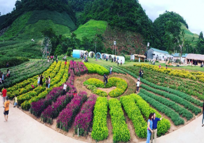 Thông báo kế hoạch hoạt động trải nghiệm ngoại khóa 2 ngày 1 đêm khối 12 năm học 2017-2018